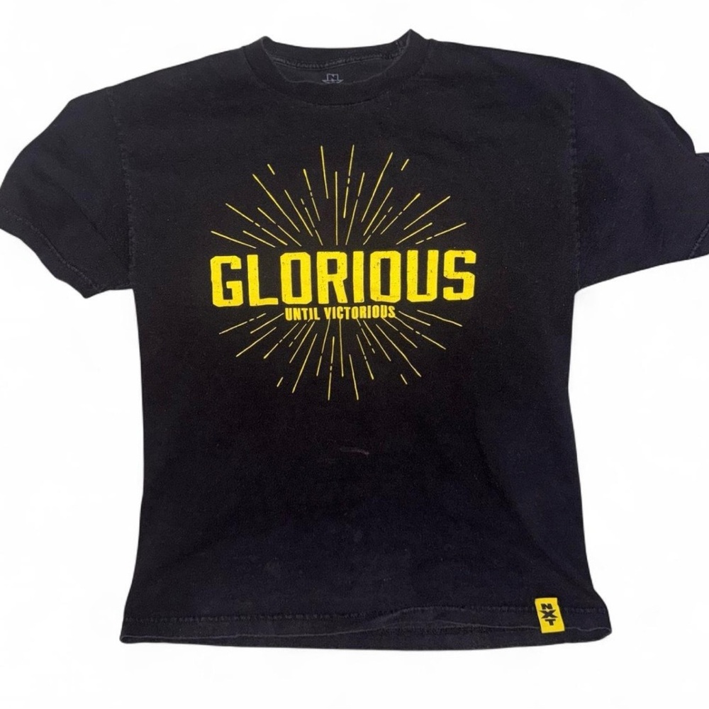 WWE NXT Bobby Roode That’s Roode T Shirt Size L